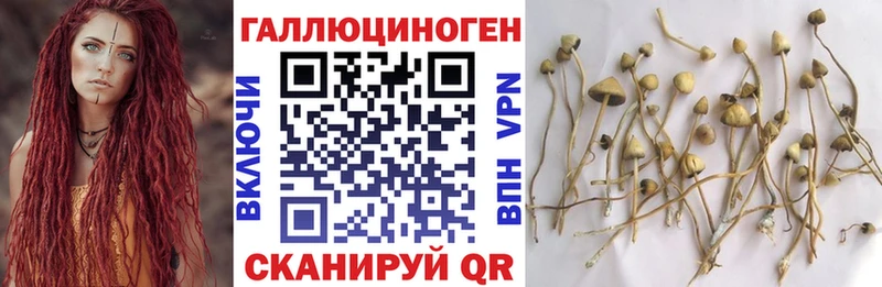 цена наркотик  Миньяр  Псилоцибиновые грибы GOLDEN TEACHER 